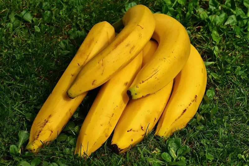 banana for cyclists